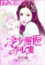 《冷少邂逅夺心妻》小说封面