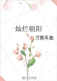《灿烂朝阳》小说封面