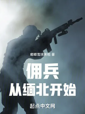 《人在缅北,打成最强轻步兵》小说封面