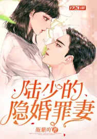 《陆少的隐婚罪妻》小说封面