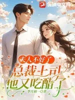 《夫人不好了，总裁上司他又吃醋了》小说封面