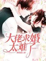 《大佬求婚太难了》小说封面