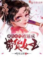 《我在古代被逼成带货女王》小说封面