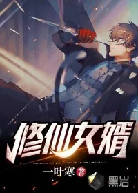 《修仙女婿》小说封面